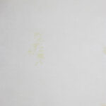 Papel de Parede Infantil Verde PDI3012